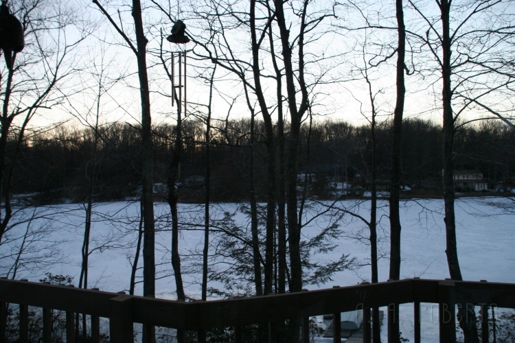 My kitchen window.jpg - A view out my window wall onto the frozen lake.